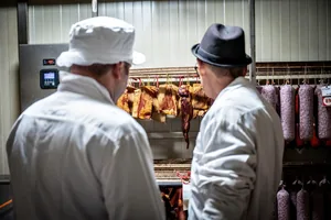 Képek: Horváth Dorottya