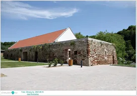 Bodzaház borítóképe