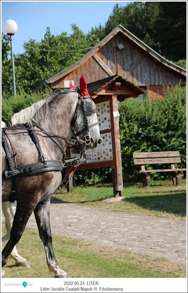 Litéri Juniális Családi Napok 2022