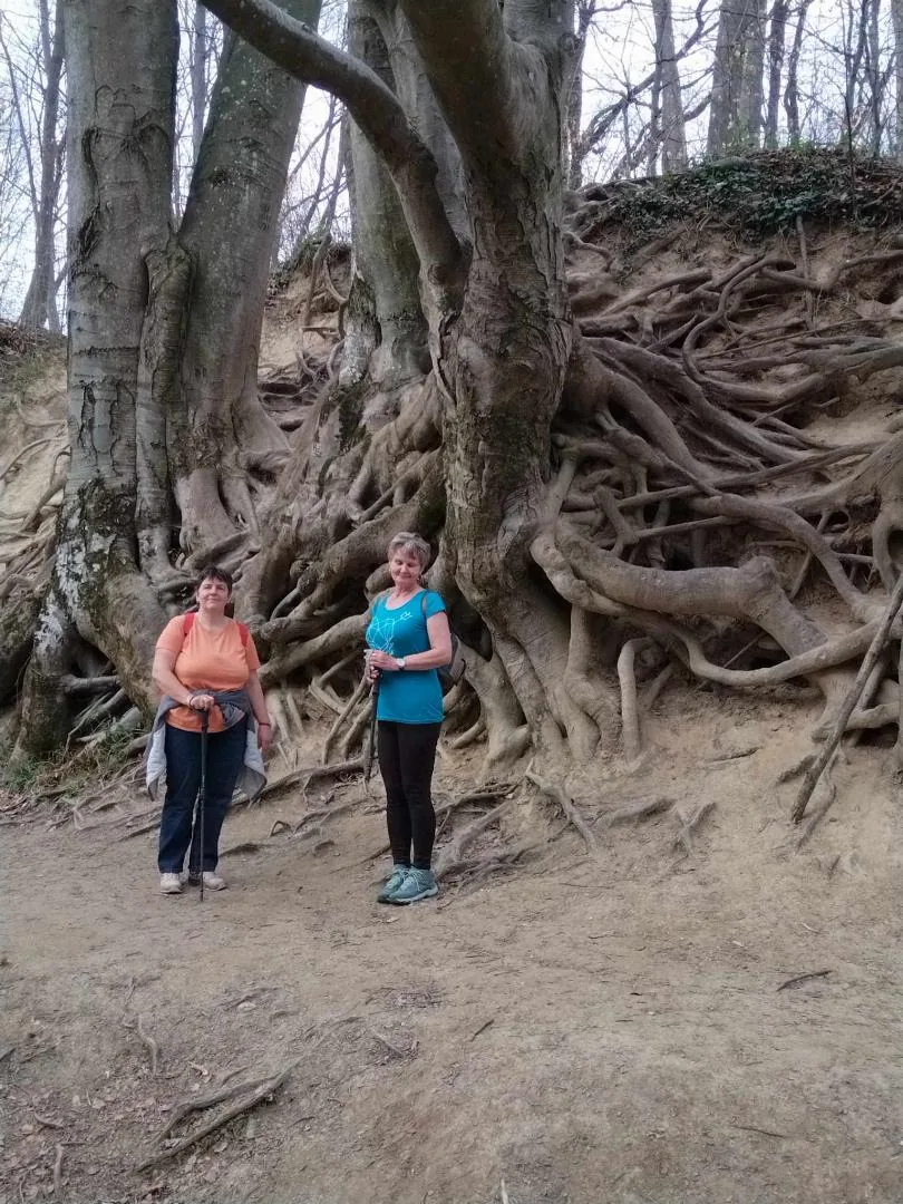 Fotók, Vadon Vándorai 