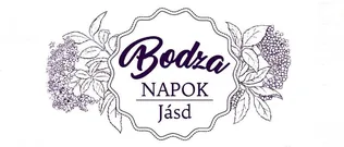 Bodza Napok borítóképe