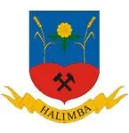 'Halimba' cikk borítóképe