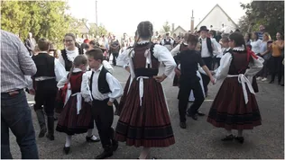 Szüreti Felvonulás borítóképe