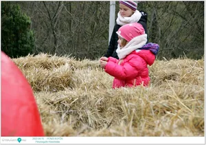 Képek a rendezvényről