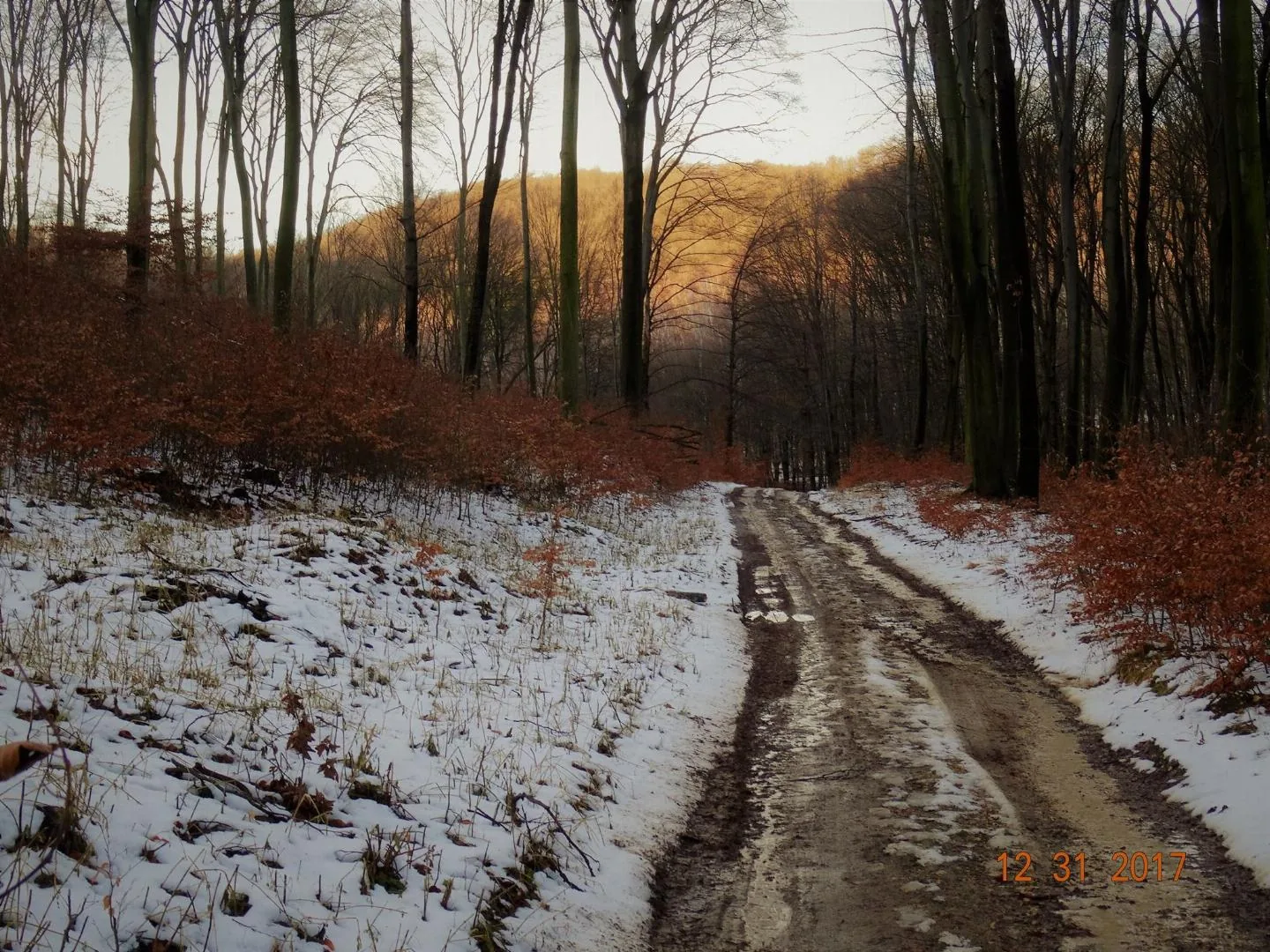 Kedvcsináló képek tavalyról! Fotók: Horváth Attila