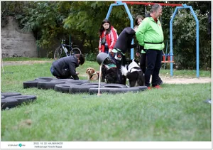 Fotók, Útirány.hu