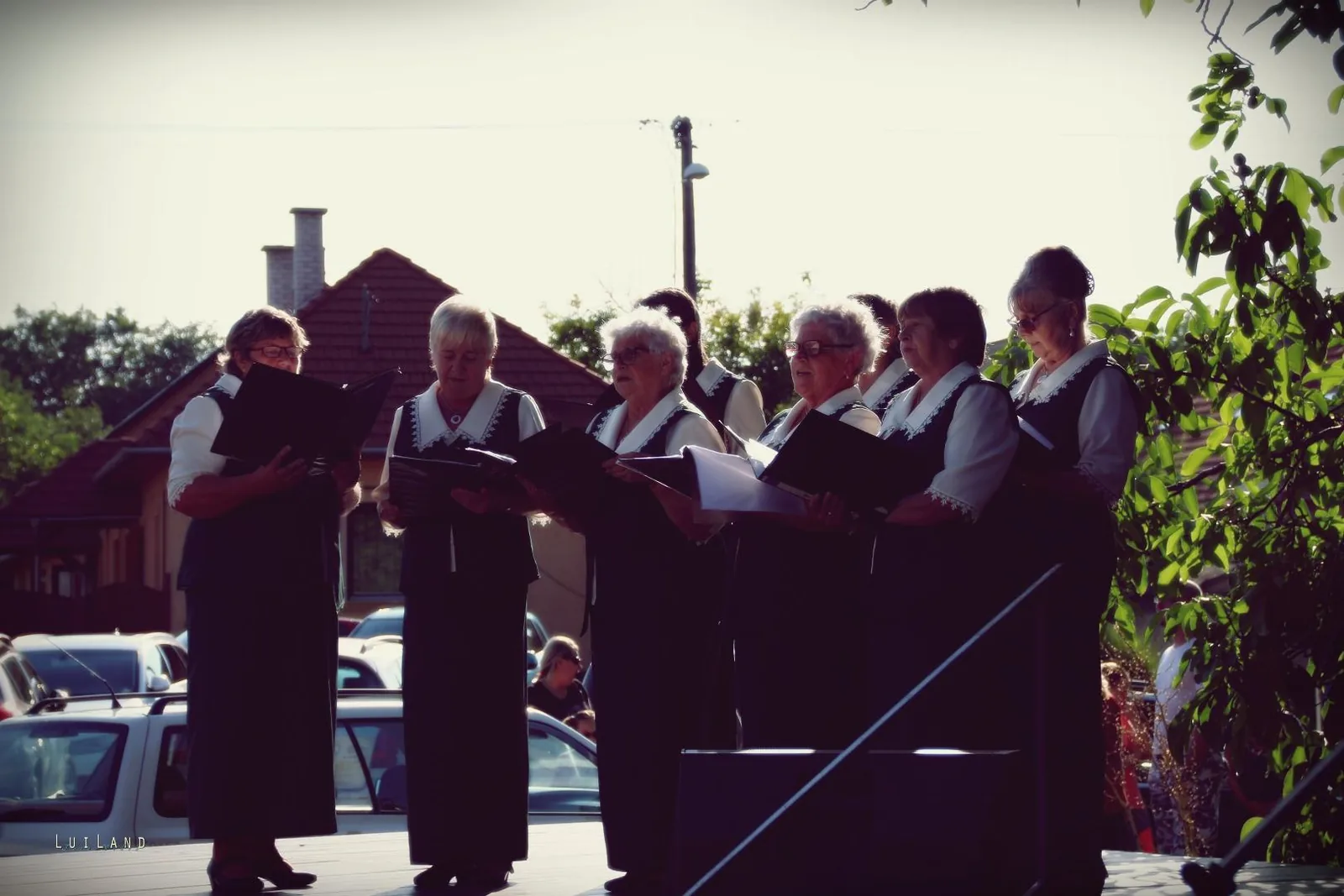 Falunap Fotó: LuiLand