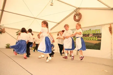 XIV. Bakonyi Krumpliszüreti és Művészeti Fesztivál 2016