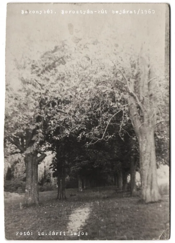 Szent-kút (Borostyán-kút)