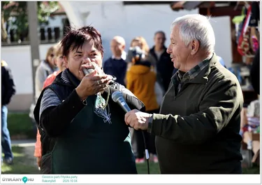 Gerence-parti Pityóka-party