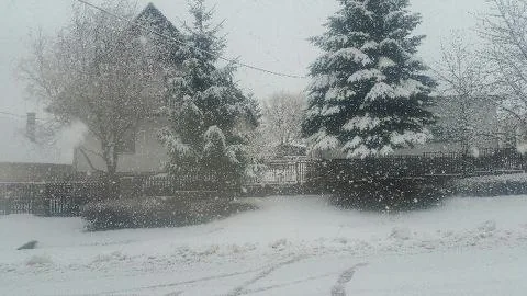 'Pillanatkép' cikk borítóképe