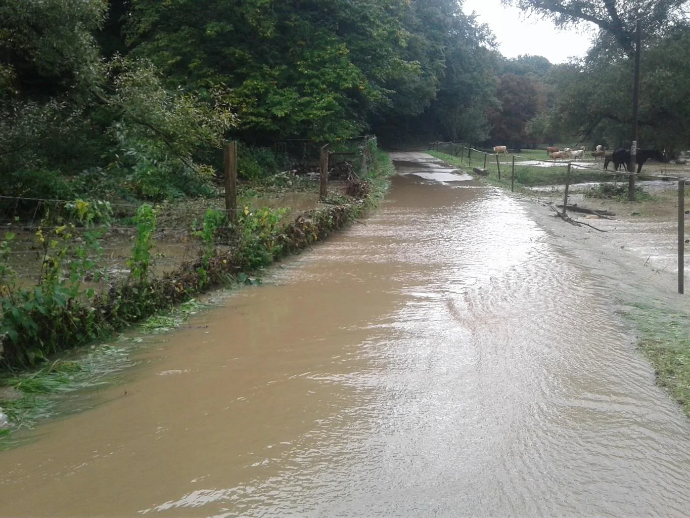 Gerence Pénzesgyőr 2018.09.04.