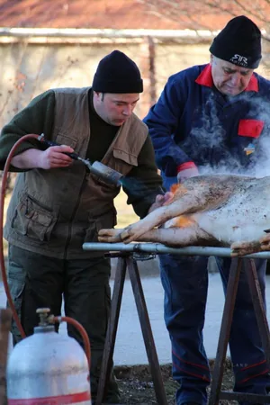 Fotók: Útirány.hu