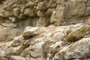 Fotók: Tóth Szabolcs / Balaton-felvidéki Nemzeti Park