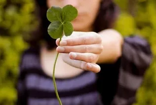 Nyertesünk: Seresné Gál M borítóképe