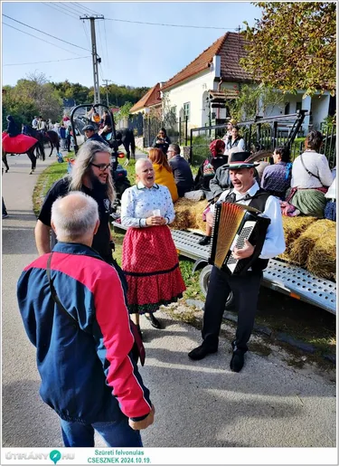 Szüreti felvonulás és Bál
