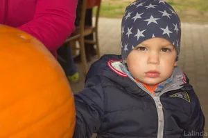 Fotók 1 album: Babai Lalinda