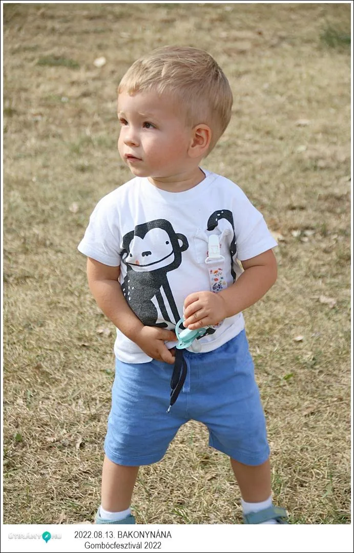 Fotók, Útirány.hu: