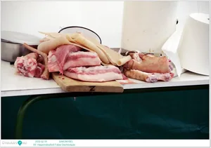 Fotók: Útirány.hu