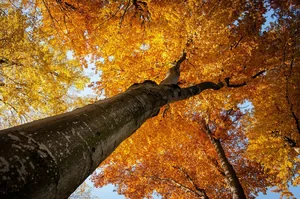 Fotó: Pesty Márton