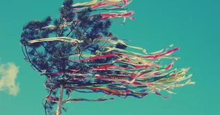 Májusfa döntés borítóképe