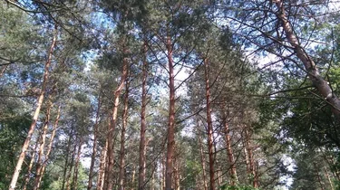 Képek a Vendégházról