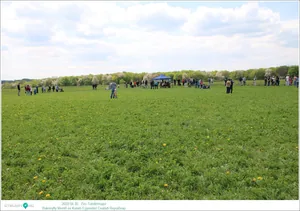 Fotók, Útirány.hu: