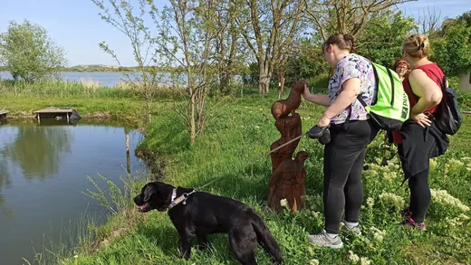 'Akadálymentes túra' cikk borítóképe