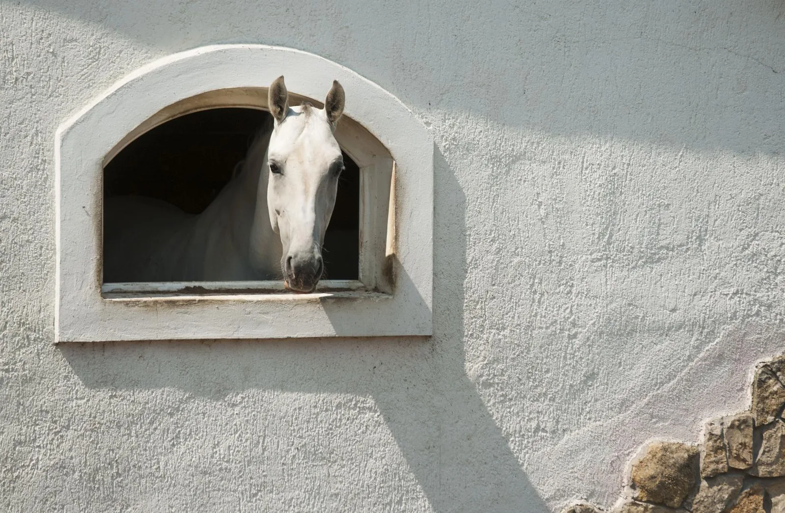 Fotó: Pesty Márton