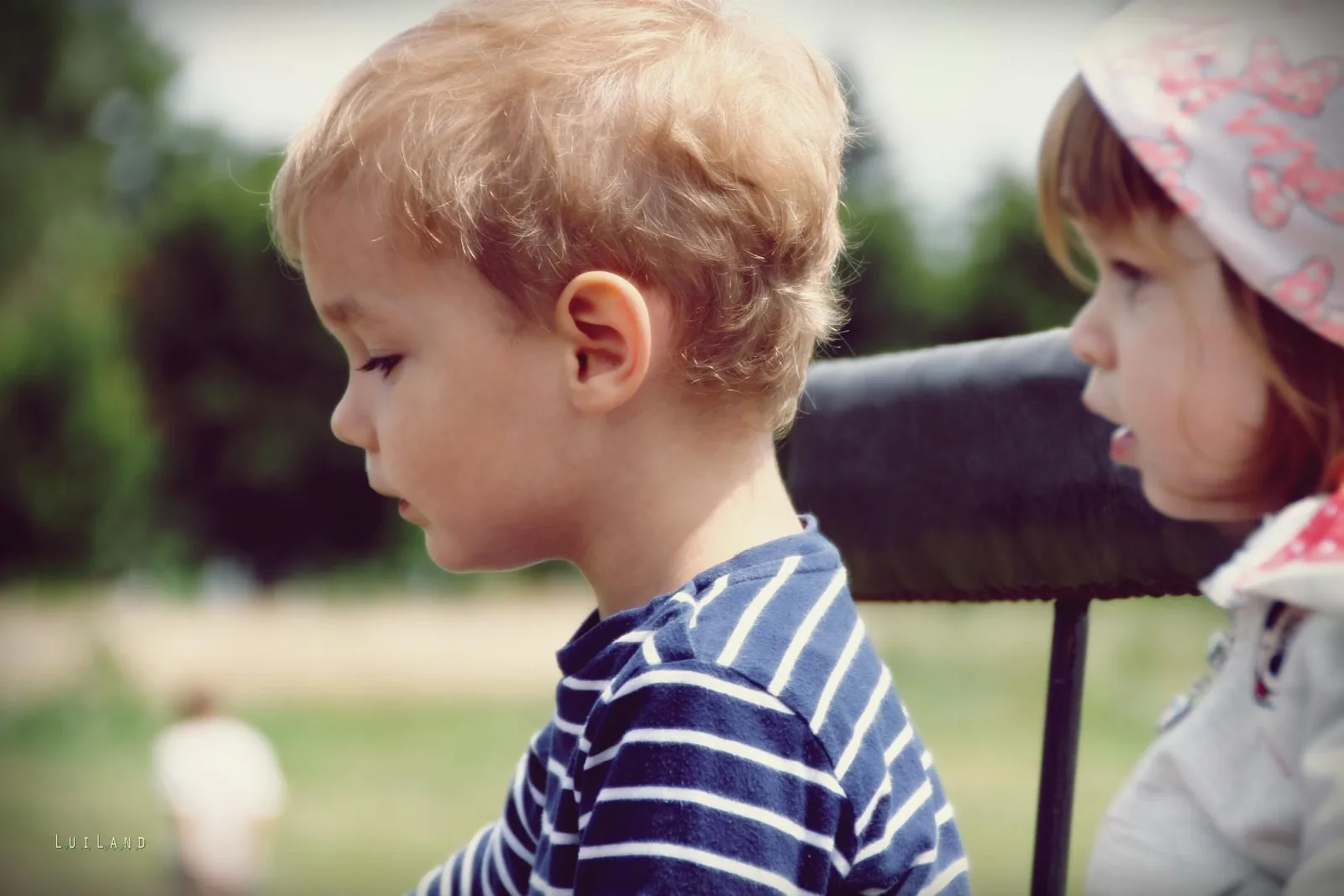 Falunap Fotó: LuiLand