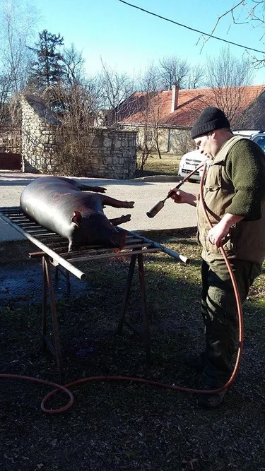 III. Falusi disznóvágás beszámoló fotókkal