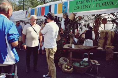 Nemzeti Vágta, szurkoljunk együtt a Bakonynak!