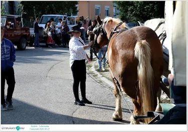 Szüreti Felvonulás és Bál