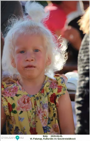 Falunap 2020, Fotó: Útirány.hu