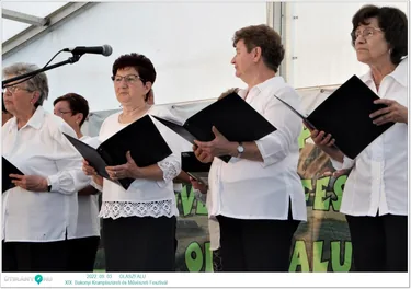 XIX. Bakonyi Krumpliszüreti és Művészeti Fesztivál Olaszfalu