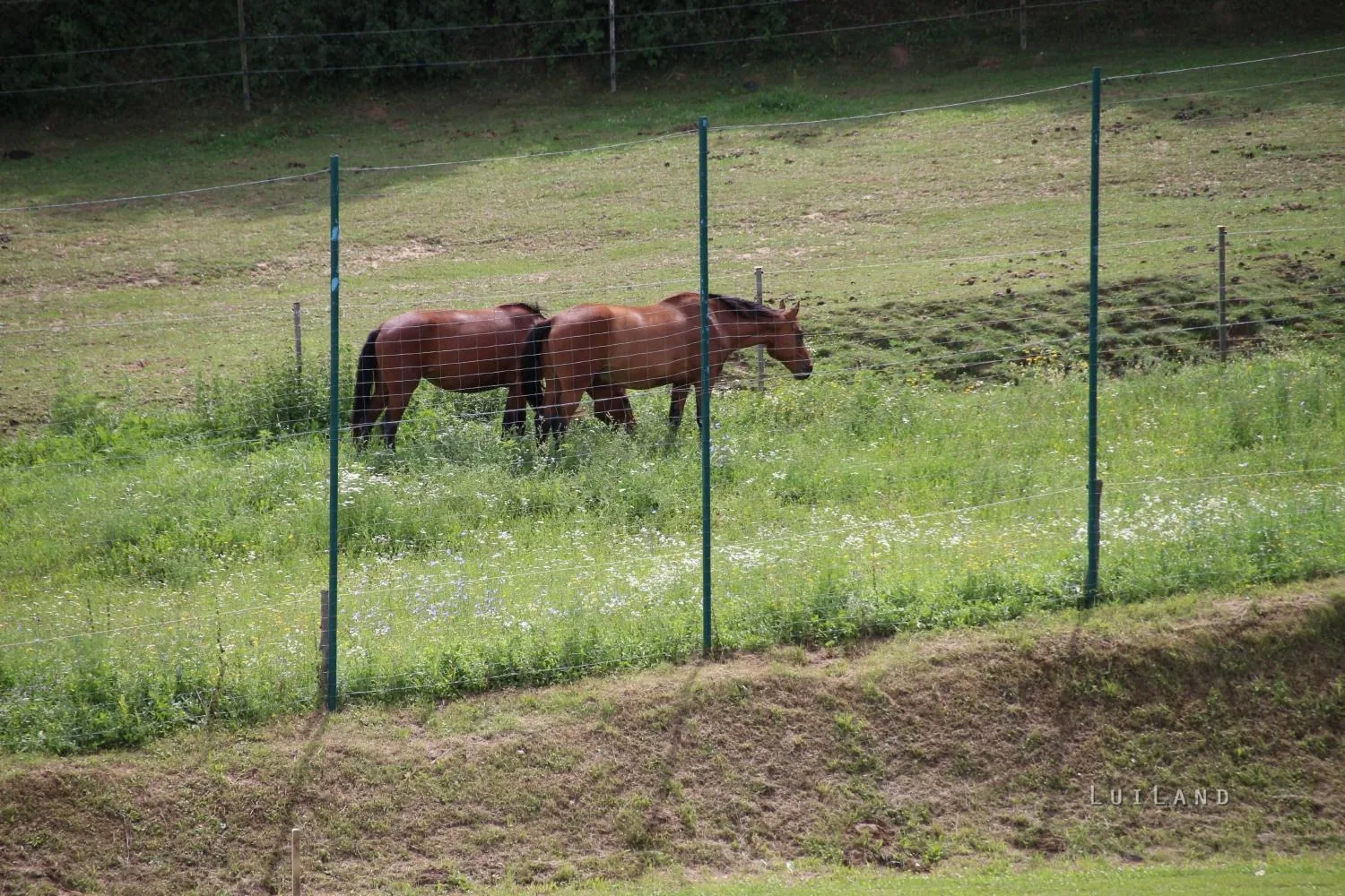 Fotók: Útirány.hu