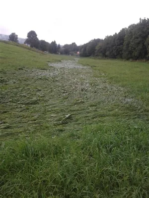 Gerence Pénzesgyőr 2018.09.04.