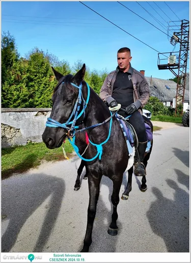 Szüreti felvonulás és Bál