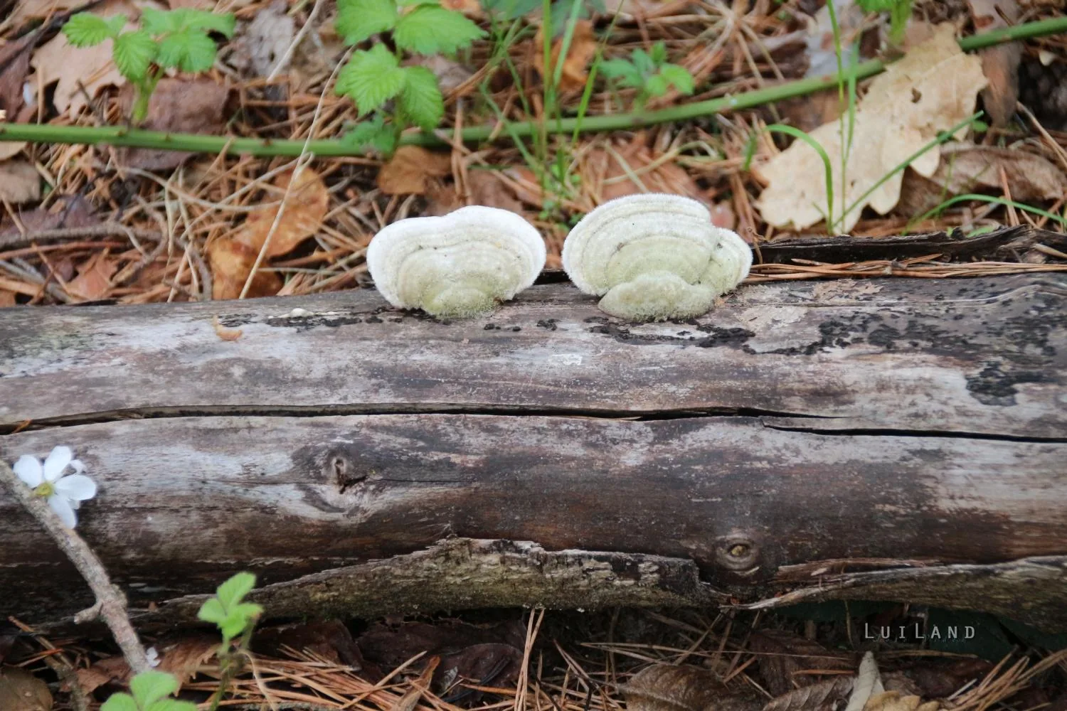 Fotók és kisfilm: Útirány.hu