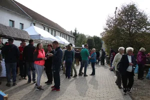 Kora délután, fotók: BakonyiHírek