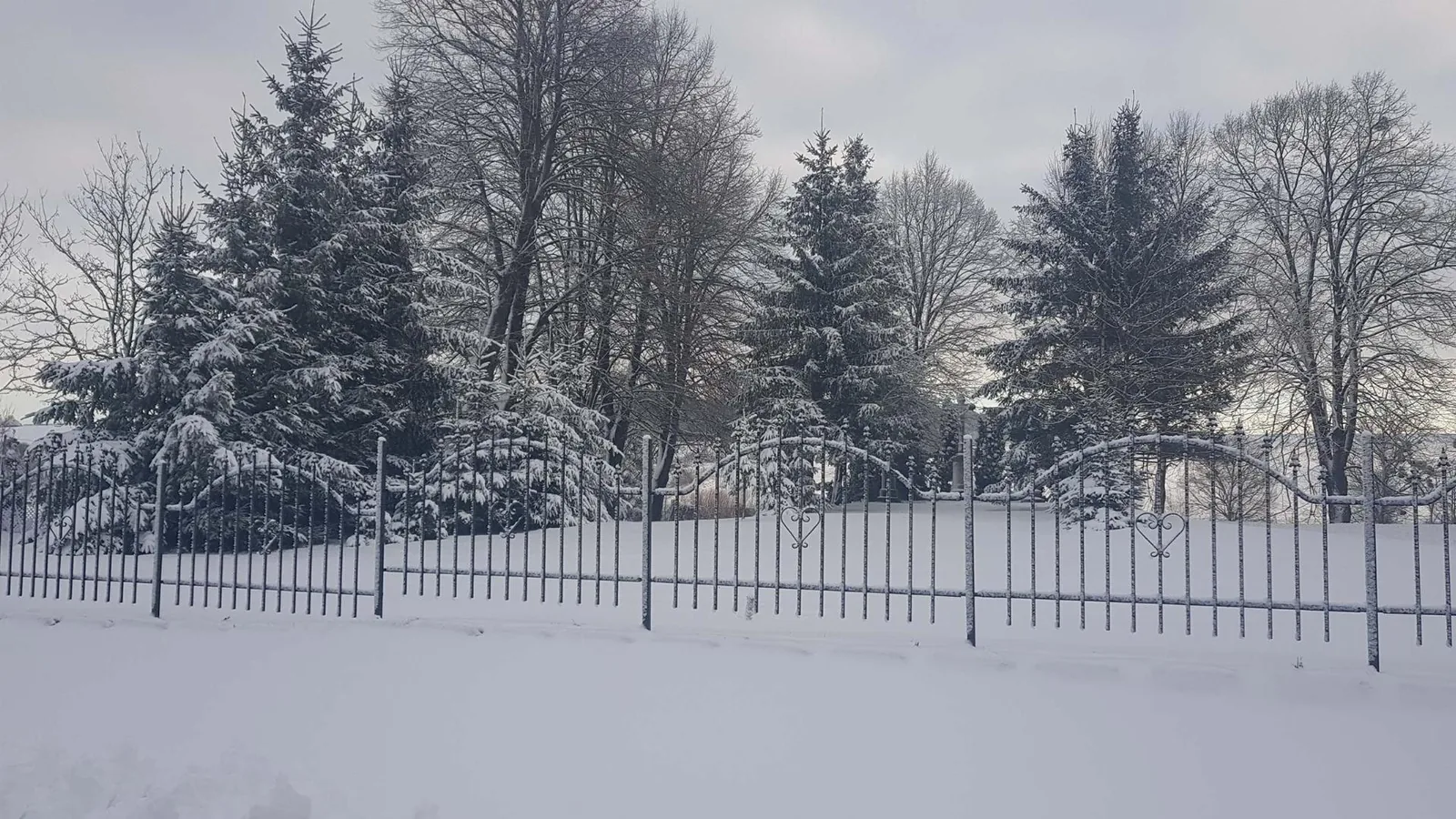 Fotó: Veinperlné Kovács Andrea