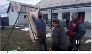 Fotók: Pénzesgyőr Önkormányzat