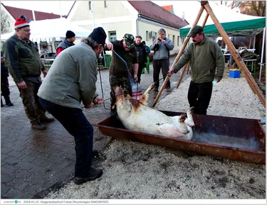 Fotók, Útirány.hu