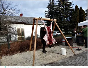 Fotók, Útirány.hu