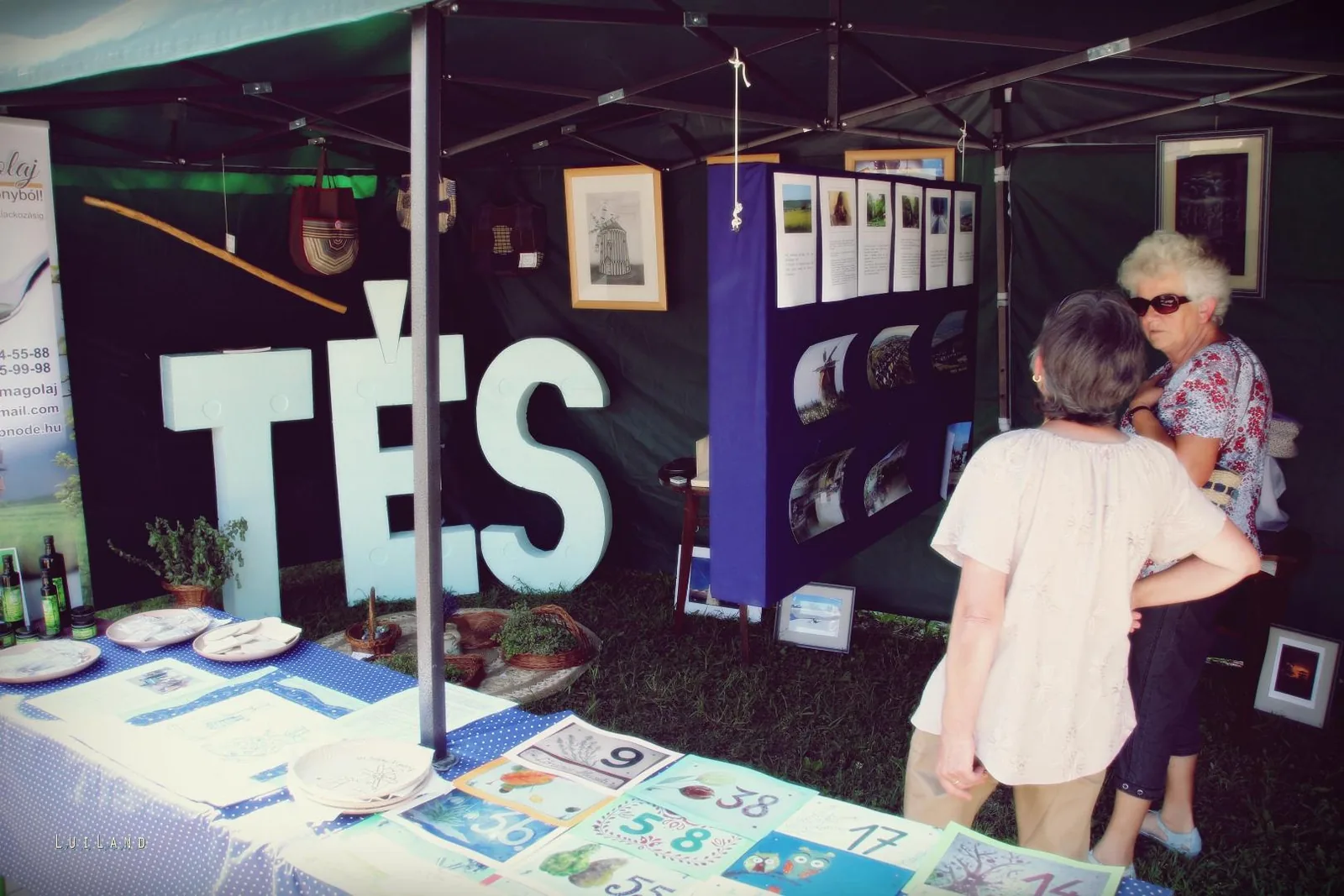 Millenniumi Falunap 2018, Képek: LuiLand