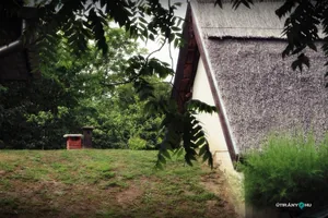 Pincefesztivál 2019 / Fotók: Útirány.hu