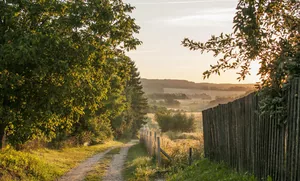 Fotó: Pesty Márton