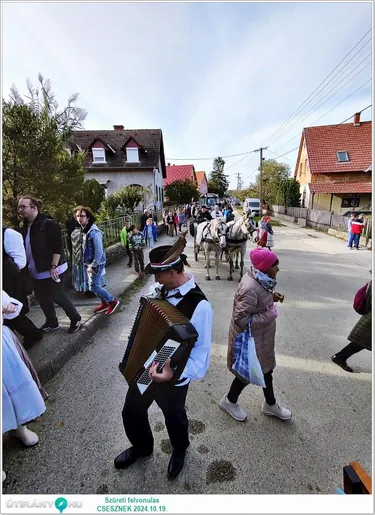Szüreti felvonulás és Bál