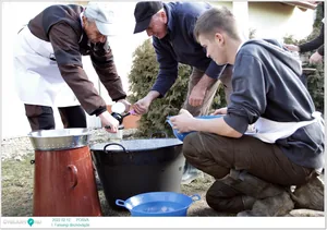 Fotók, Útirány.hu 