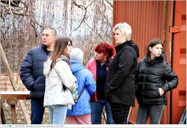 MosolyTOR / Disznóvágás